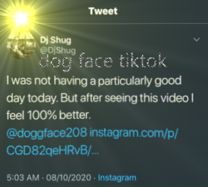 dog face tiktok