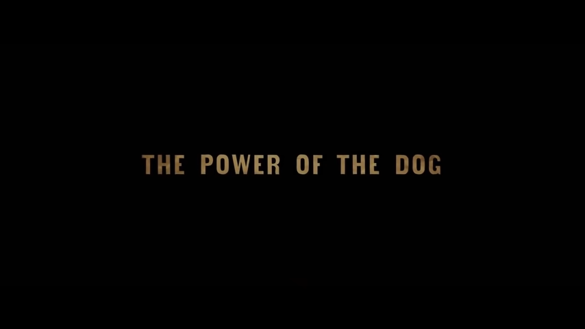 the power of the dog movie