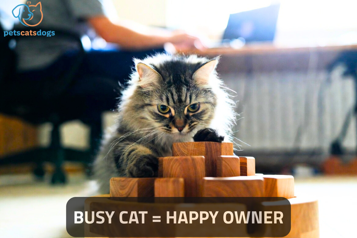 How to Encourage Independent Play in Cats: A Deep Dive into Feline Self-Sufficiency